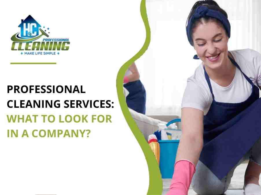 Professional Cleaning Services What To Look For In A Company